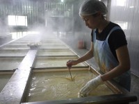 傳貴宏業生機有限公司(豆類製品工廠)