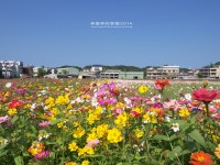 2014 蘆竹花彩節~繽紛登場！(11/08-11/16)(結束營業)