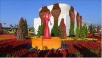 2014年新社花海/台中國際花毯節(11/08-12/07)(結束營業)
