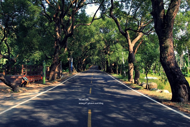 集集綠色隧道(集集隧道)