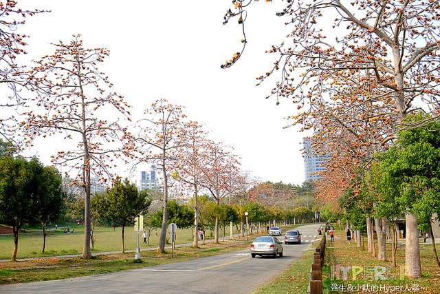 東海大學