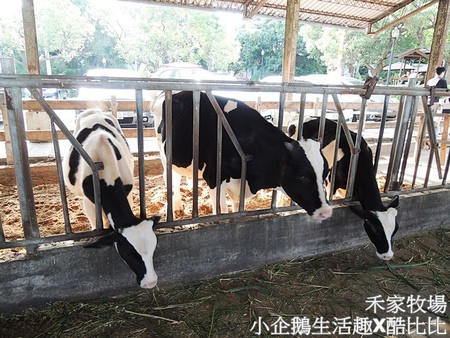 禾家牧場