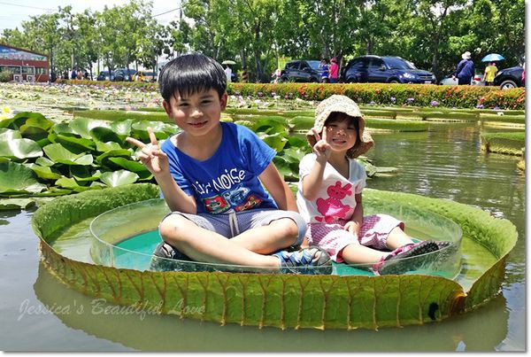 七彩香水蓮花園(結束營業)