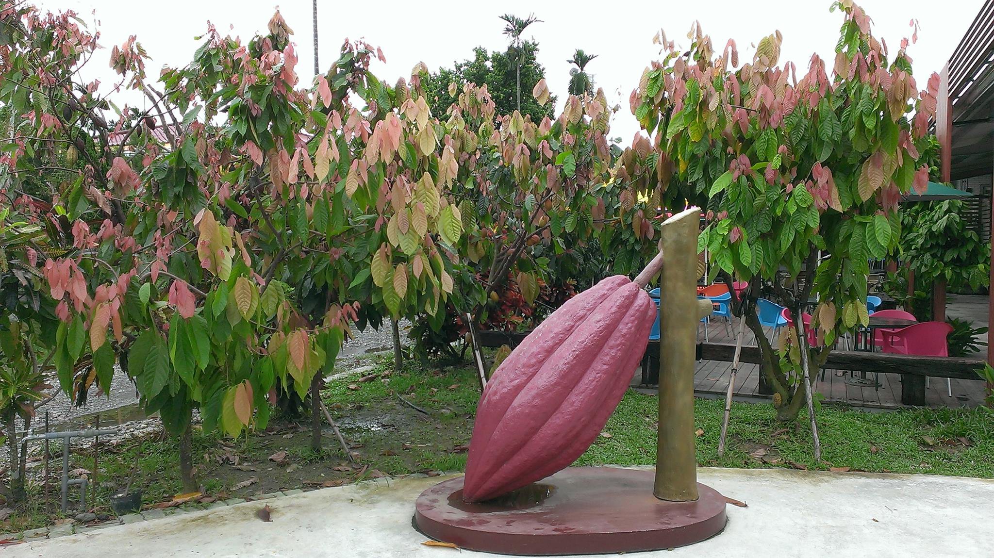 Cocosun可茵山萬巒創始店