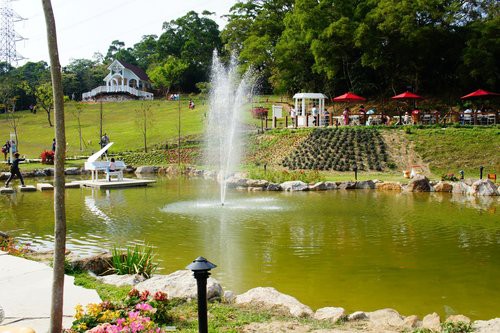 心鮮森林莊園餐廳