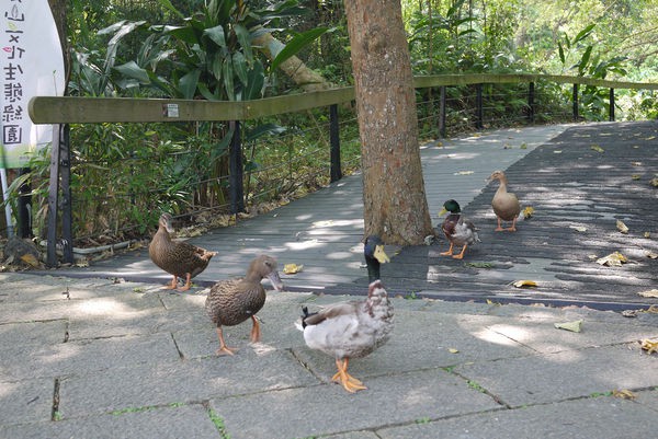 芝山文化生態綠園