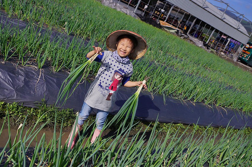 蔥仔寮體驗農場(蔥仔寮田園民宿)