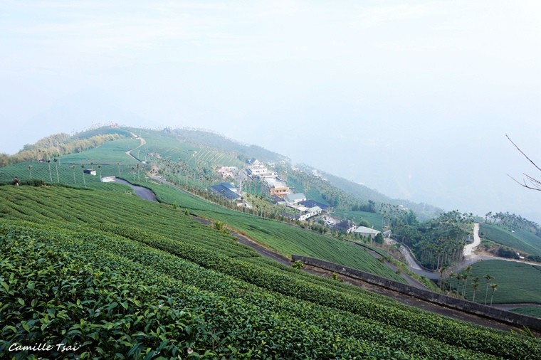 碧湖山觀光茶園