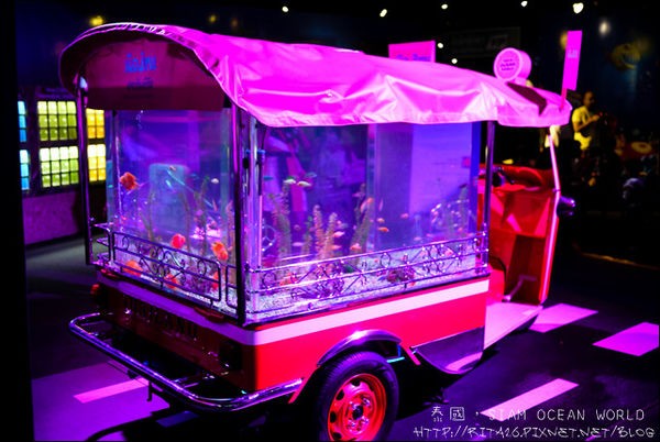 泰國-SEA LIFE Bangkok Ocean World(曼谷暹羅海洋世界)