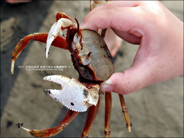 七股潟湖