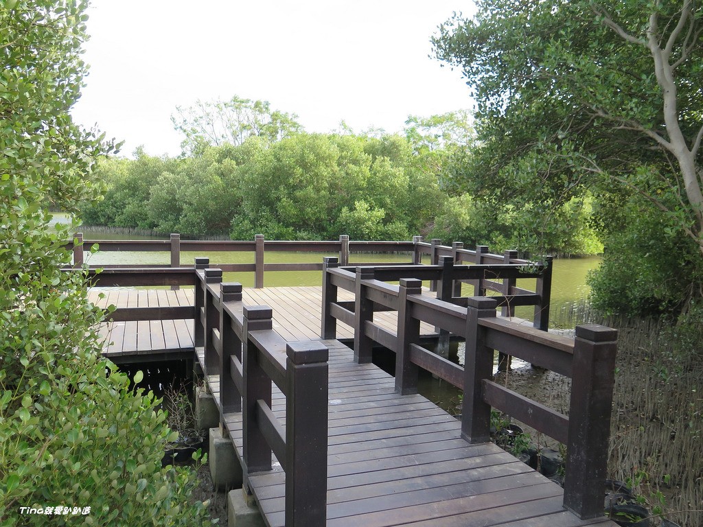 援中港濕地公園
