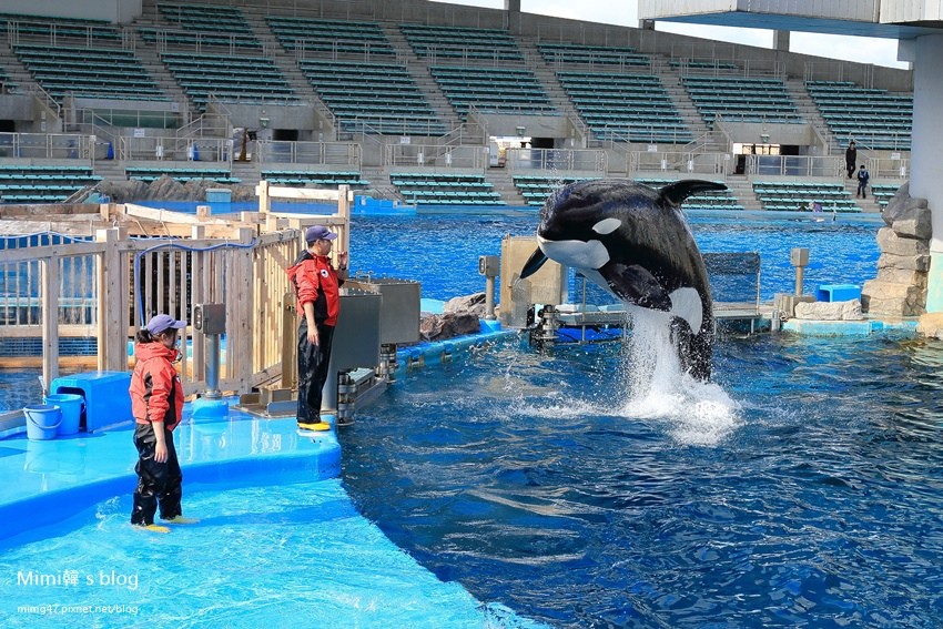 日本-名古屋港水族館
