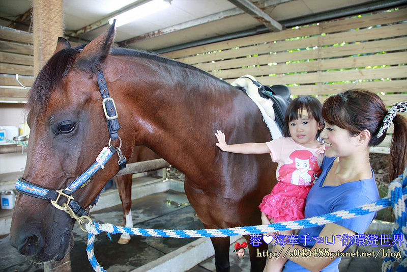 綠野馬場(綠野馬術文創園區)