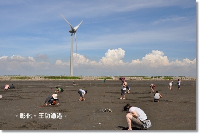 王功生態旅遊觀光採蚵車