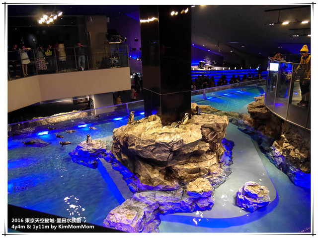 日本-東京-墨田水族館 (SUMIDA AQUARIUM  すみだ水族館)