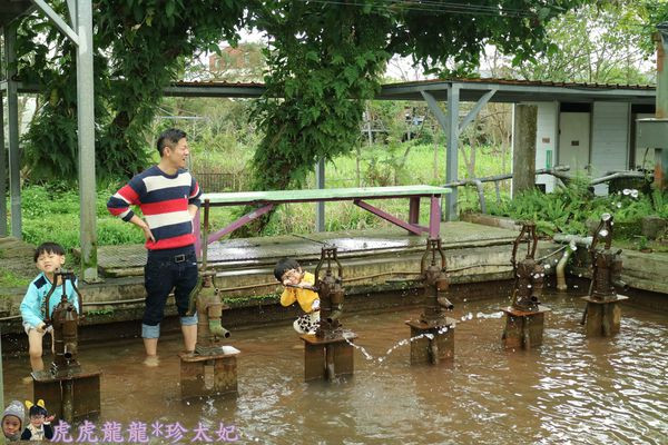  勝洋休閒農場(勝洋水草休閒農場)