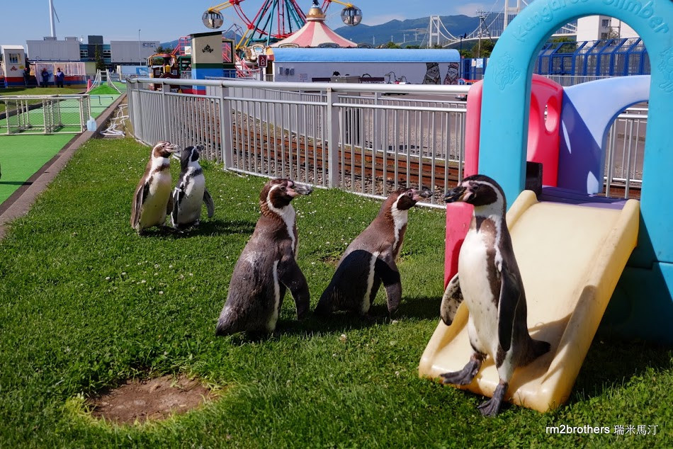 日本北海道-室蘭水族館