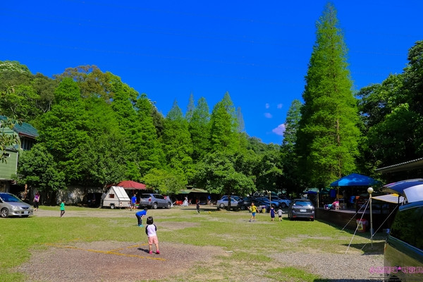 桐花谷露營區