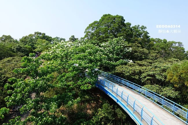 銅鑼天空步道