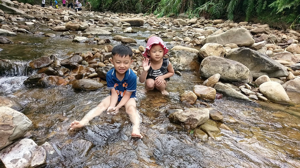 金瓜寮溪-金瓜寮魚蕨步道(金瓜寮觀蕨護魚步道)