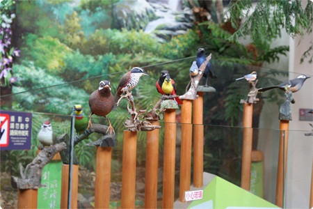 員山生態教育館(員山森林生態館)(暫停開放)