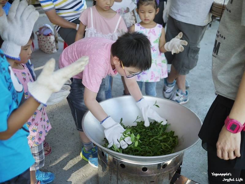 青山茶園民宿(小小茶農體驗營)