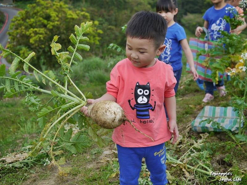 藍鵲•星空親子農園(小農體驗營)