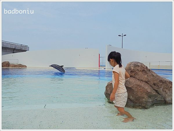 日本九州-大分海之卵水族館(うみたまご水族館)