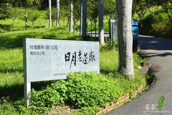 日月老茶廠