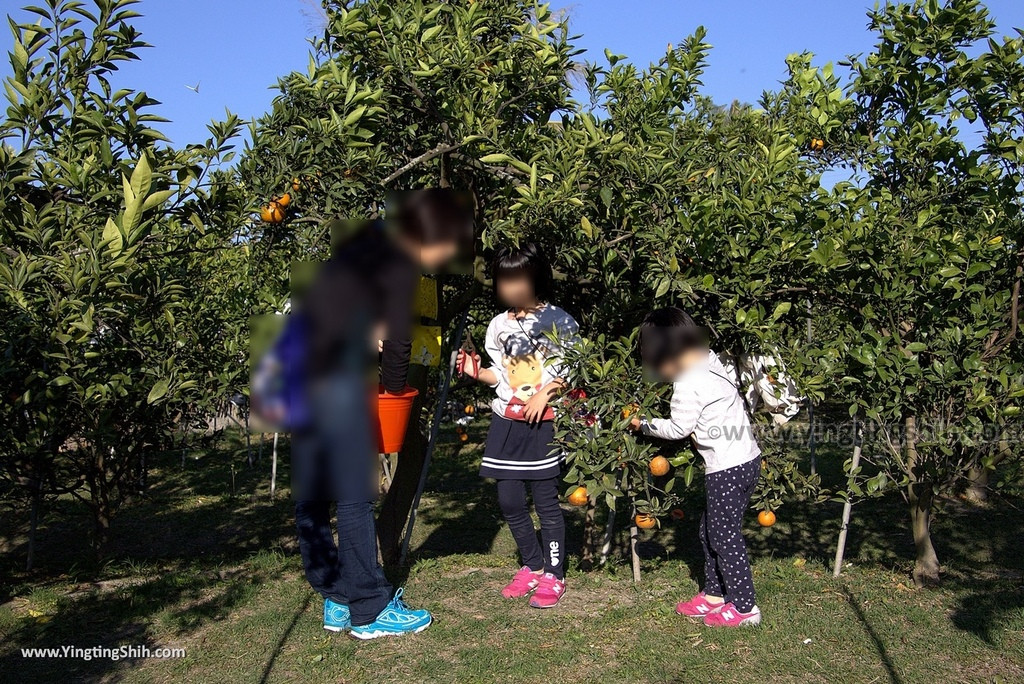 劍門生態花果園休閒農場(劍門休閒農場)