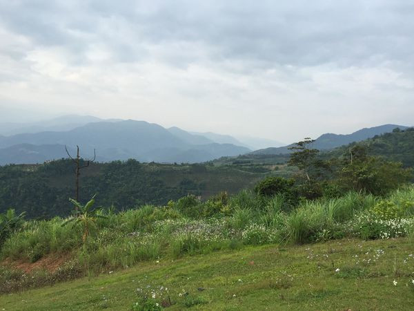 大同圓頂360露營區