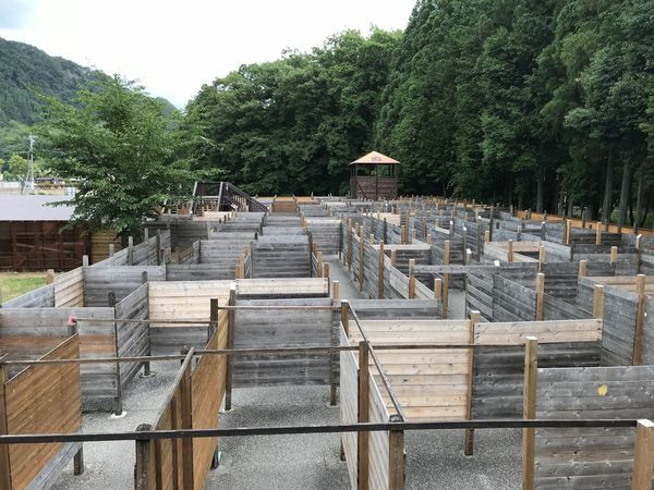 日本日光-鬼怒川巨大迷路(巨大迷宮)