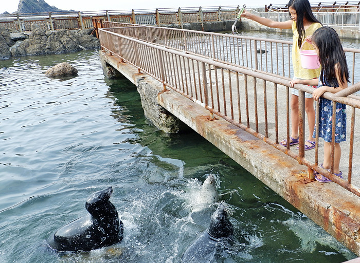 日本北海道-小樽水族館