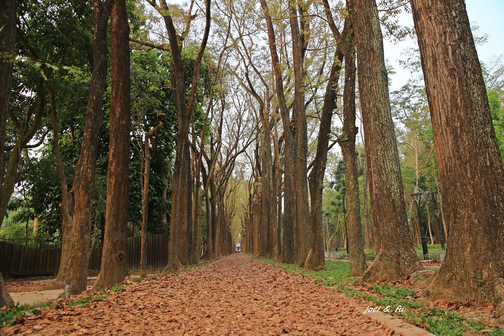 新威森林公園