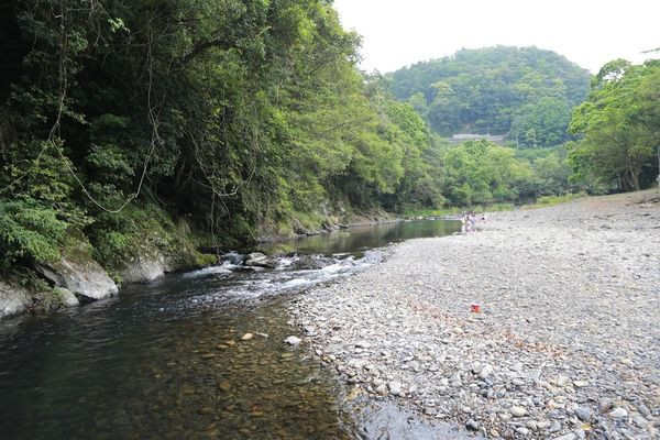 綠野山林露營區