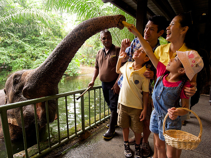 新加坡動物園 Singapore Zoo