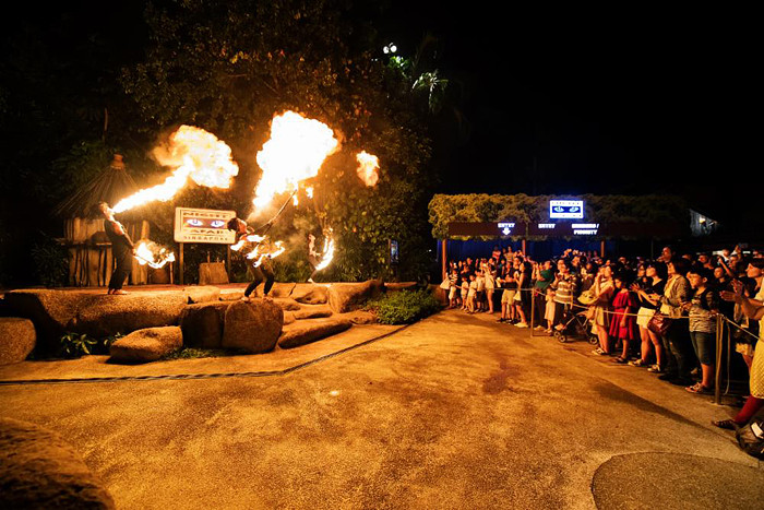 新加坡夜間動物園 Night Safari