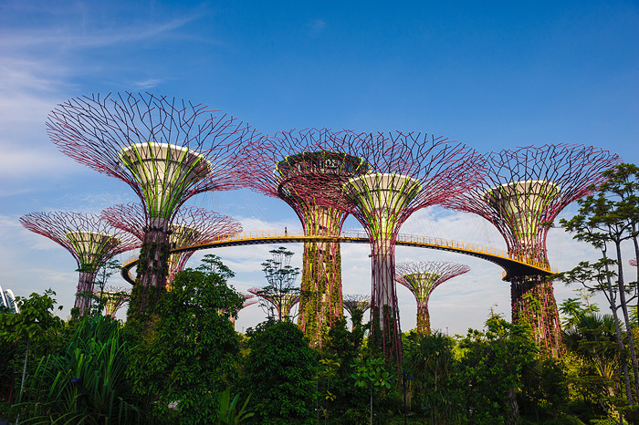 新加坡-濱海灣花園 Garden by the bay