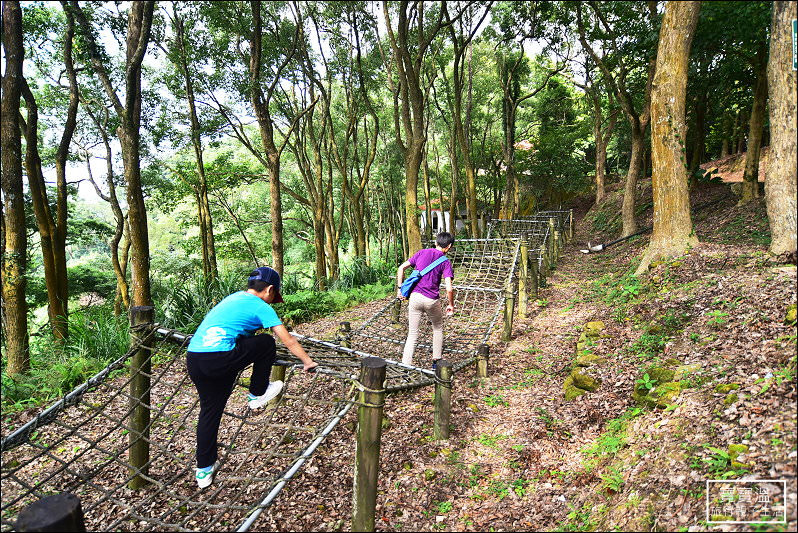 鳴鳳古道(鳴鳳山森林遊憩區)-台灣百大必訪步道
