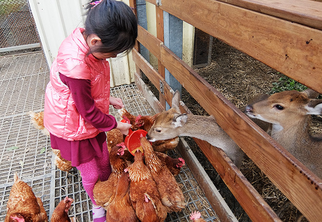 桂園自然生態農場(動物區暫不開放)