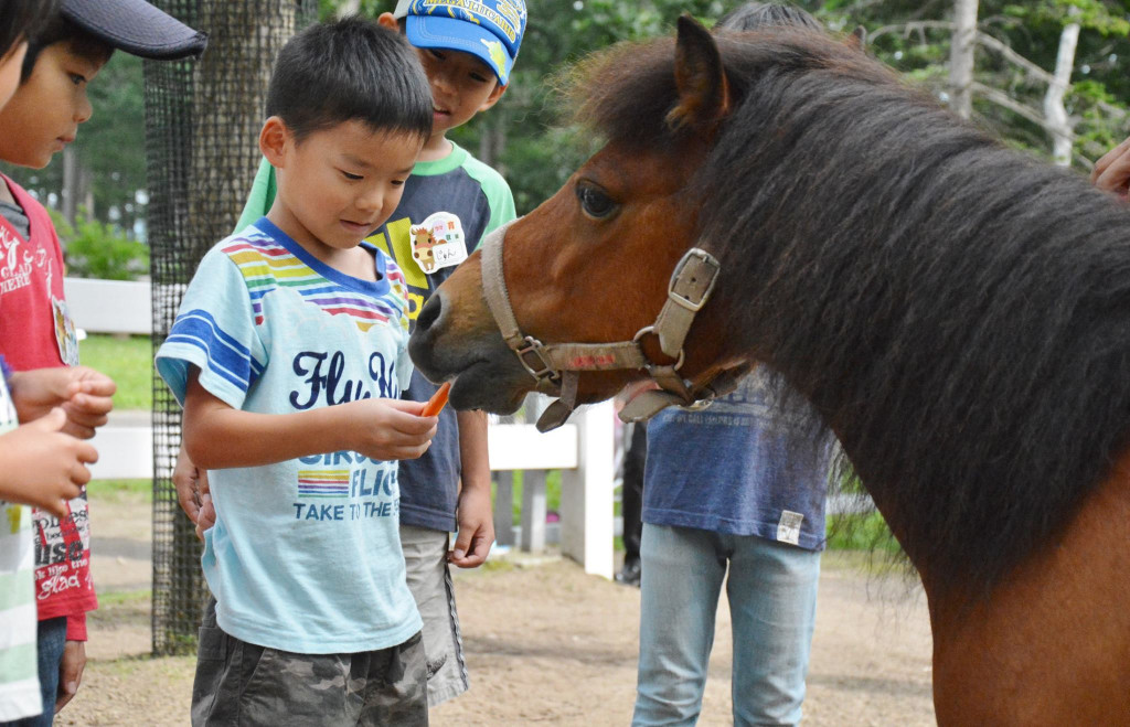 日本北海道-北國優駿公園NORTHERN HORSE PARK