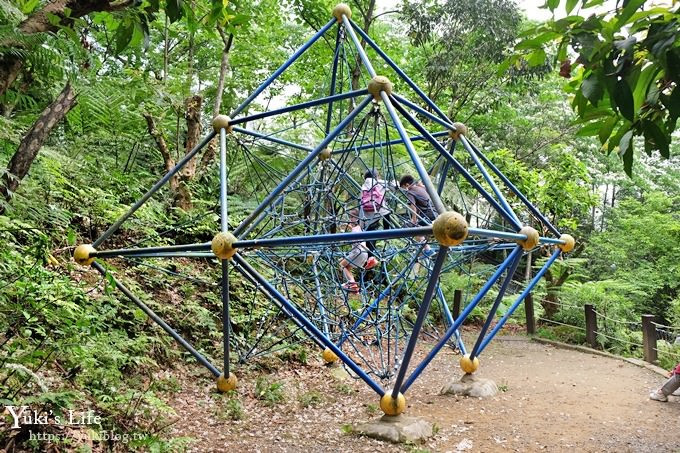 土城桐花公園