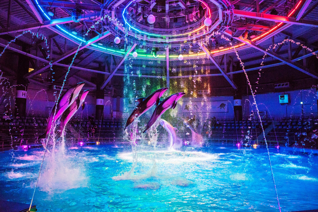 日本東京-Maxell Aqua Park品川(品川水族館)