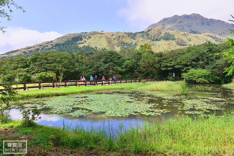 冷水坑步道@陽明山
