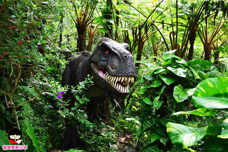 日本-沖繩-DINO恐龍公園-山原之森亞熱帶恐龍主題森林公園(御菓子御殿-名護店)
