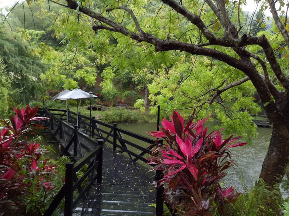 石中臼香草庭園餐廳(結束營業)