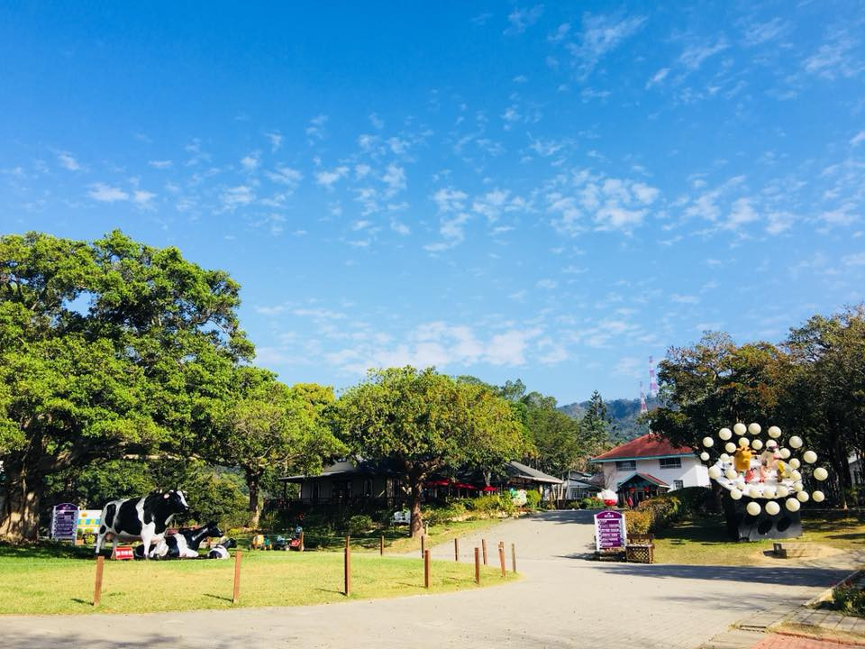 飛牛牧場@OTOP