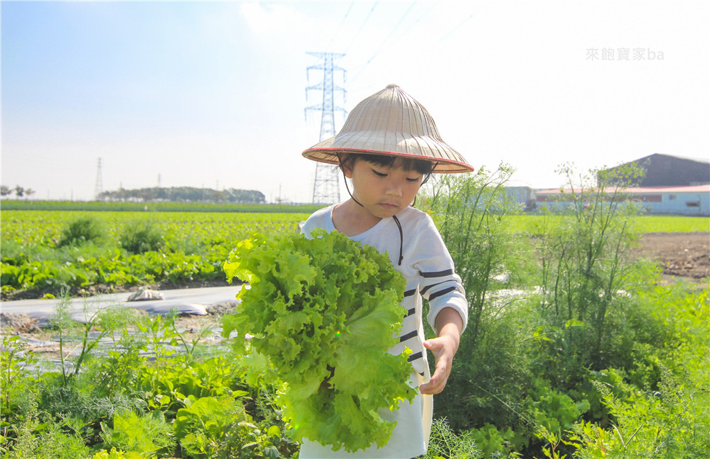 晁陽綠能體驗農場