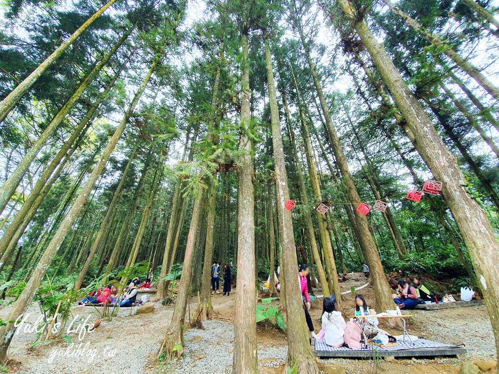 森窯have a Picnic