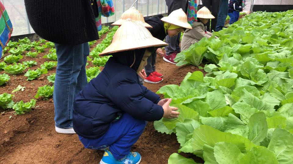 遠足生態農場